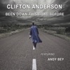 Been Down This Road Before (feat. Andy Bey) - Single