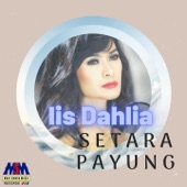 Setara Payung artwork