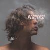 Perdersi by dile iTunes Track 1