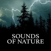 Sounds of Nature artwork