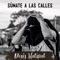 Súmate a las calles (feat. Cristofebril) - Dosis natural lyrics