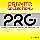 Private Collection of PRG, Vol. 2 artwork