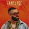 Camel Toe (feat. Kartel Montana) - LUCCA SAVI lyrics