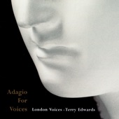 Adagio for Voices artwork