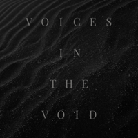 Preith k - Voices In the Void artwork