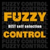 FUZZY CONTROL