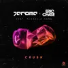 Stream & download Crush (feat. Michelle Hord) - Single