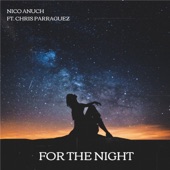 For the Night (feat. Chris Parraguez) artwork