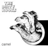 Camel album lyrics, reviews, download