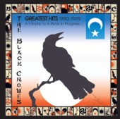 The Black Crowes - Go Faster