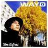 Sin Disfraz - Single