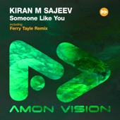 Someone Like You (Ferry Tayle Remix) artwork