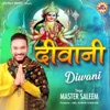 Diwani - Single