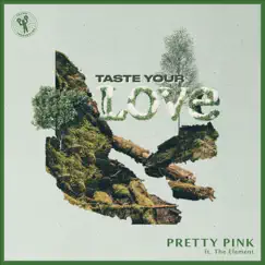 Taste Your Love (feat. The Element) Song Lyrics