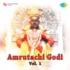 Amrutachi Godi, Vol. 1 - Single