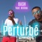Perturbé (feat. Krilino) - Bash lyrics