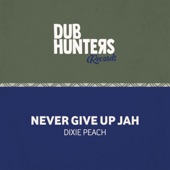 Never Give Up Jah (feat. Dixie Peach & Vale) artwork