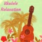 Funny Adventure - Relax on the Beach - Hawaiian Spa Music Relaxation & Meditation Ukulele Club lyrics