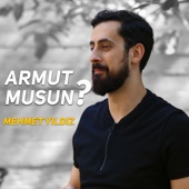 Armut Musun ? Mehmet Yıldız artwork