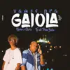 Vamos pra Gaiola (Versão Light) - Single album lyrics, reviews, download