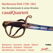 Beethovens Welt 1799-1851 - Der Revolutionär & seine Rivalen artwork