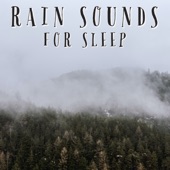 Rain Sounds For Sleep - EP artwork