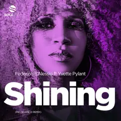 Shining (Shane D Radio Edit) [feat. Yvette Pylant] Song Lyrics