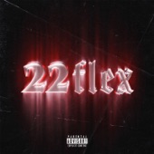 22flex artwork