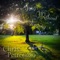 Nature's Song (Dudash Park) - Chris Petronzio lyrics
