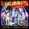 Florentinos y Ferminas (feat. Mariachi 2000) - Los Caligaris lyrics