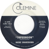 Ikebe Shakedown - The Ally