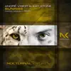 Sunrise (Ciaran Mcauley Remix) - Single album lyrics, reviews, download