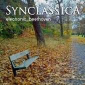 Symphony No. 5 in C Minor, Op. 67 "Fate": I. Allegro con brio artwork