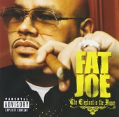 Fat Joe - I Won't Tell