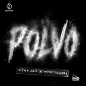 Polvo artwork