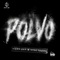 Polvo artwork