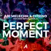 Stream & download Perfect Moment (Radio Edit) [feat. Nathan Brumley] - Single