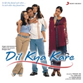 Dil Kya Kare (Original Motion Picture Soundtrack) artwork