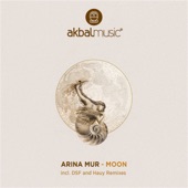 Arina Mur - Sun - DSF Remix