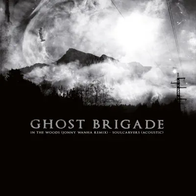 In the Woods (Jonny Wanha Remix) / Soulcarvers [Acoustic] - Single - Ghost Brigade