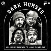 Dark Horses (feat. KRS-One & Lunar C) artwork