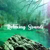 Relaxing Sounds - Instrumentals Hip Hop, Rap Beats album lyrics, reviews, download