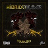 Híbrido Vulgar