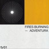 Fires Burning artwork