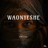 Waonyeshe (feat. Mesen Selekta, Gutta Wiz, Badloso, Timy Dad, Petronia Petygar, Kidani, Smaglar & Fad P) - Single