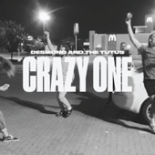 Crazy One artwork