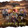 Banda Rancho Viejo de Julio Aramburo la Bandononona - A Cuanto Me Quedé (feat. Carlos Sarabia)