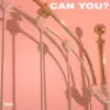 Can You? - Single album lyrics, reviews, download
