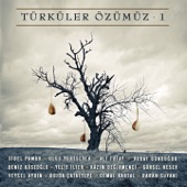 Türküler Özümüz, Vol. 1 artwork