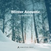 Winter Acoustic Instrumental